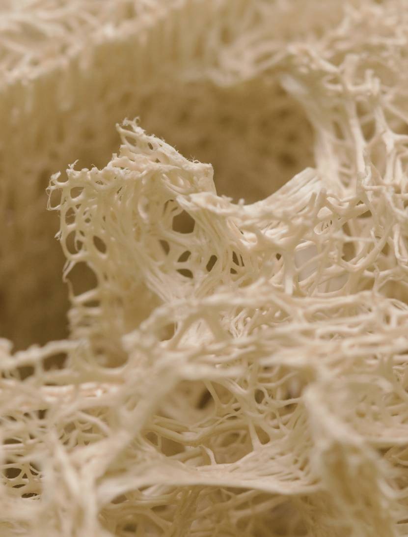 LA LOOFA VÉGÉTALE